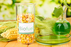 Pan biofuel availability