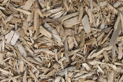 biomass boilers Pan
